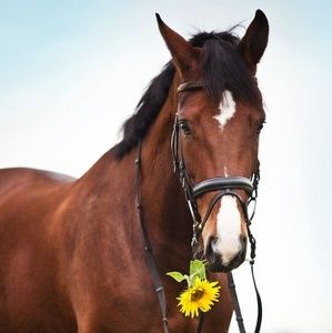 Meet your Posher, Kara